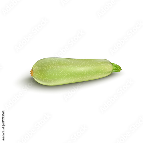Squash vegetable marrow zucchini isolated on white