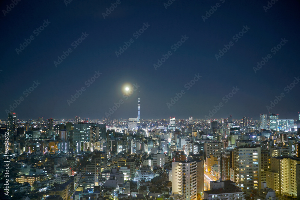 Fototapeta premium 東京 夜景