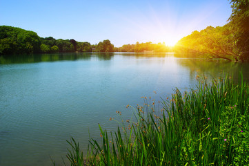 Lake water and sun