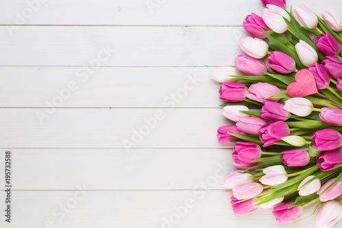 Fototapeta Naklejka Na Ścianę i Meble -  Pink tulip on the white background. Easter background.