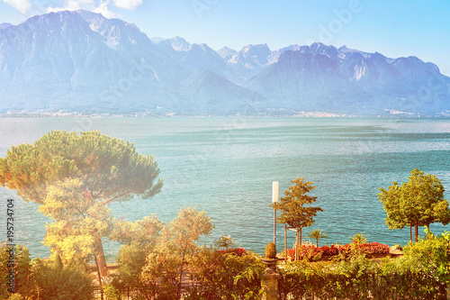 Plants blossoming at promenade of Geneva Lake Montreux Riviera Switzerland