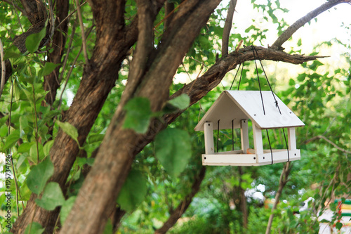 White wooden bird feeder hanging on a branch of green tree. Nature care concept. © yolya_ilyasova