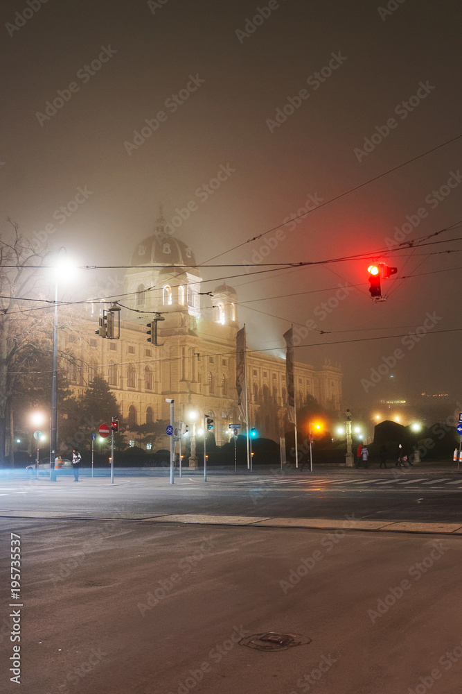 Fototapeta premium Vienna Museum Quarter fog and night Austria