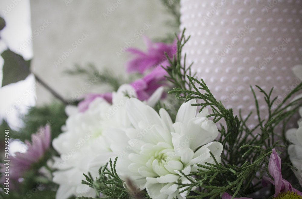 White and pink chrysanthemums with ivy and juniper branches. Festive flower arrangement. Chrysanthemums and candle