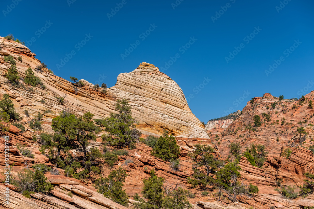 Fototapeta premium Landscape in Zion National Park