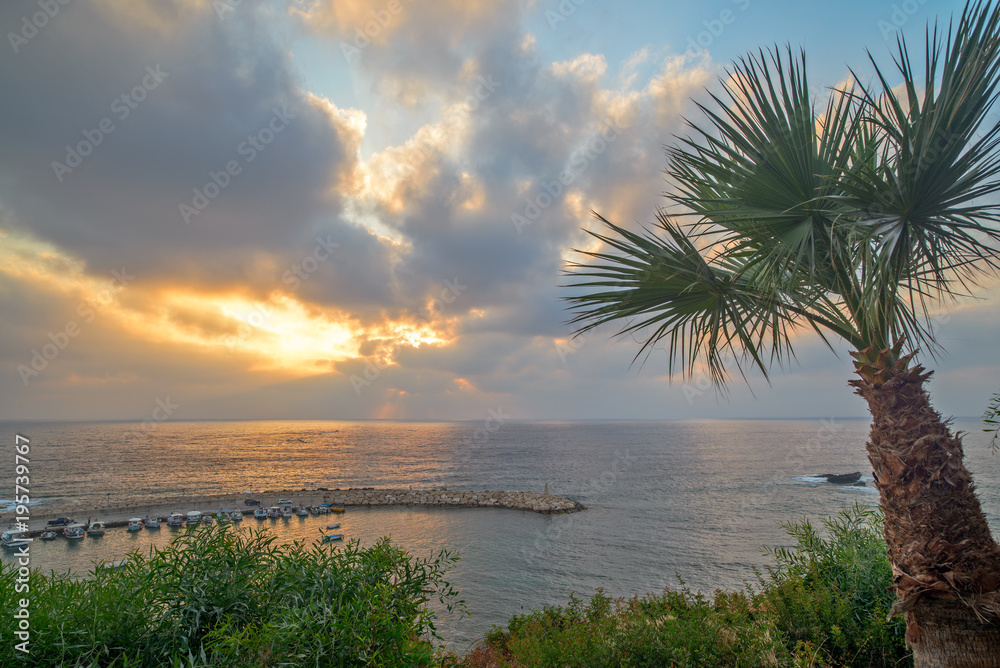 Palm tree and sunset over sea bay