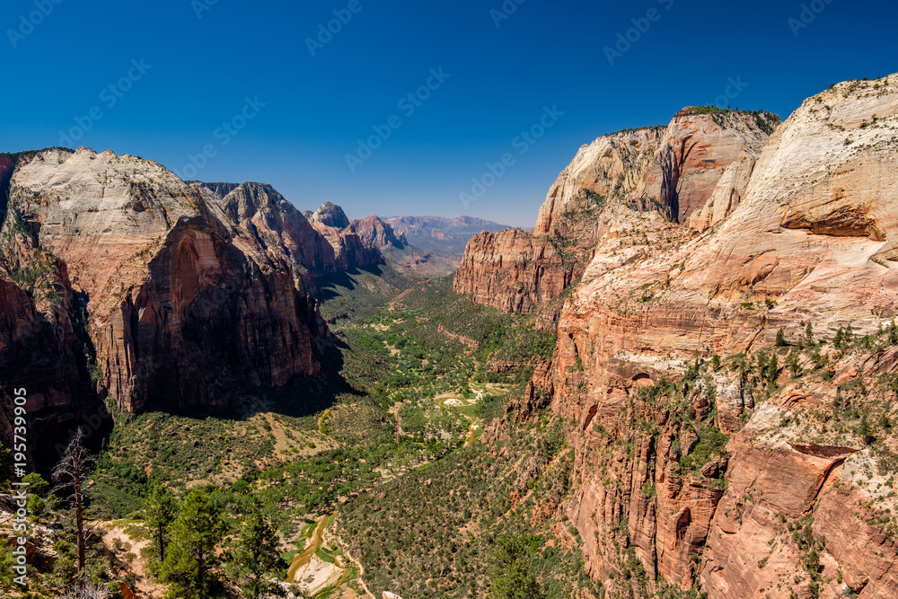 Landscape in Zion National Park Landscape in Zion National Park