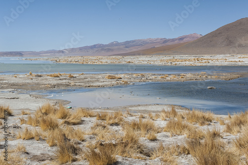 Laguna y Termas de Polques hot spring pool with Salar de Chalviri in background  Salar de Uyuni  Potosi  Bolivia - South America 