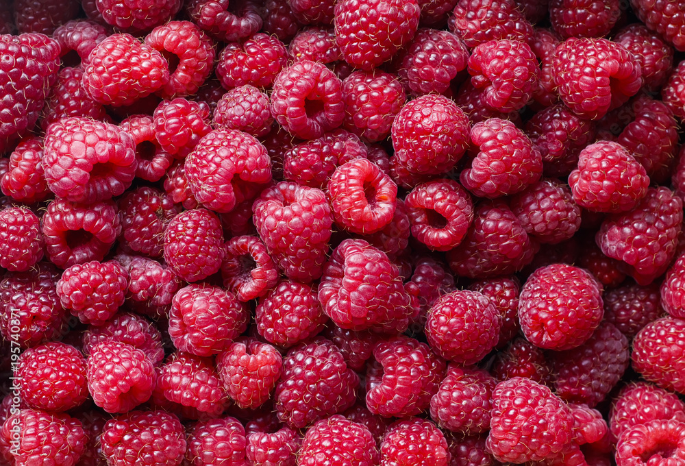 delicious natural background of many ripe juicy red fragrant raspberry berries delicious natural background of many ripe juicy red fragrant raspberry berries
