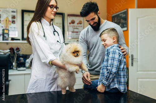 Fototapeta Naklejka Na Ścianę i Meble -  Father and son with their Pomeranian dog at veterinary.