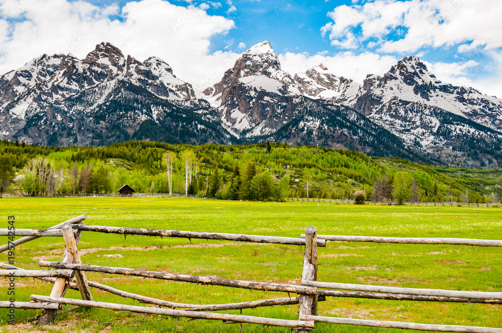 Grand Tetons and Fence