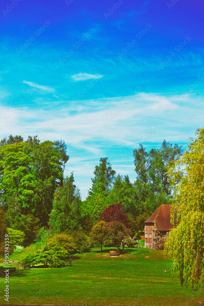 Trees blossom in park in Leeds Castle Kent UK Trees blossom in park in Leeds Castle Kent UK