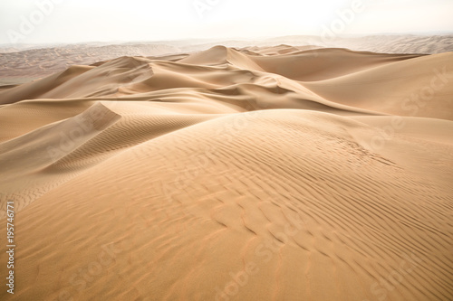 Fototapeta Naklejka Na Ścianę i Meble -  Beautiful remote sandy desert landscape of golden dunes in Liwa desert in Empty Quarter. Abu Dhabi, UAE.