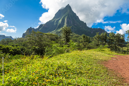 Moorea Island in the French Polynesia.