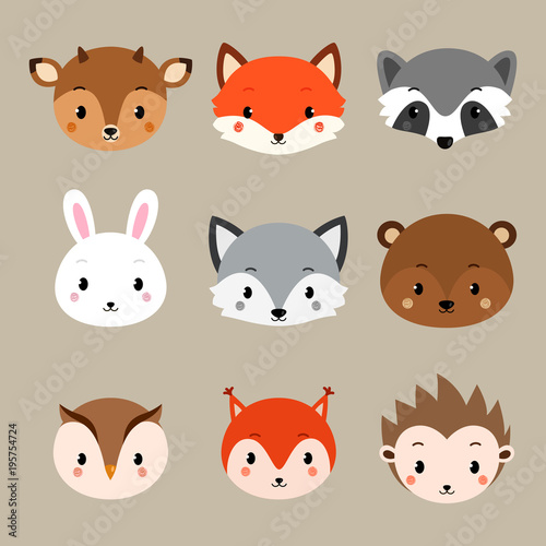 Cute woodland animals collection