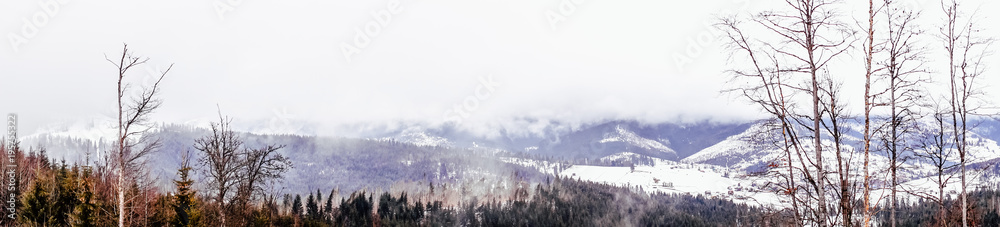 Winter trip to the Carpathian Mountains. Panorama of the ridge