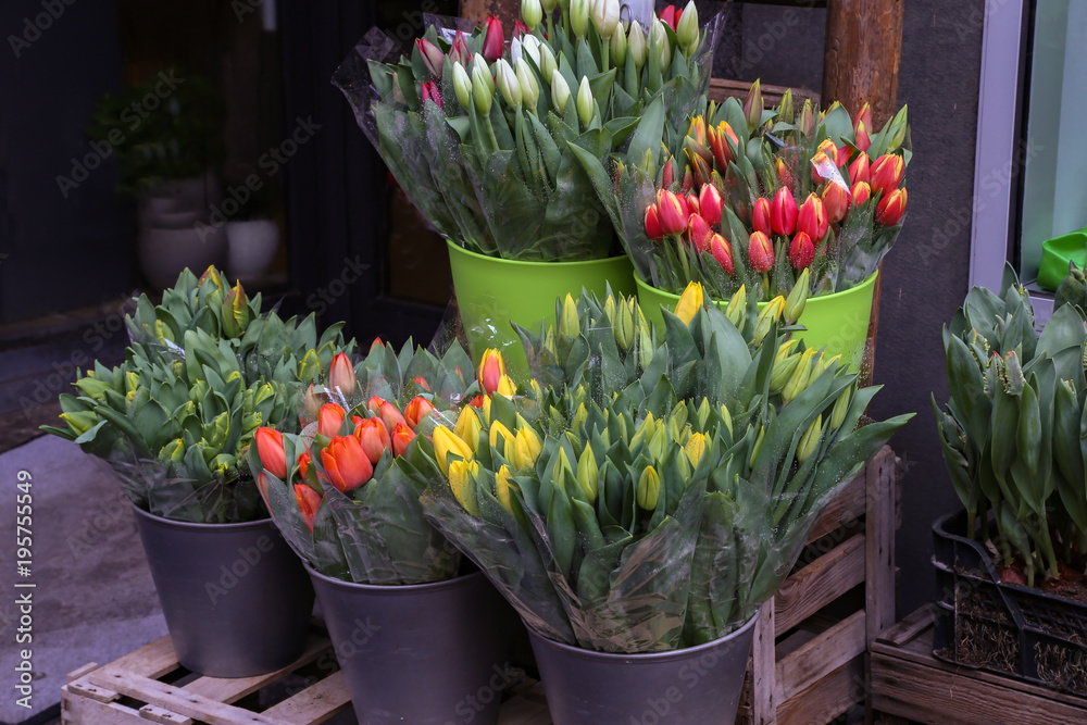 Spring sale of flowers / Tulips