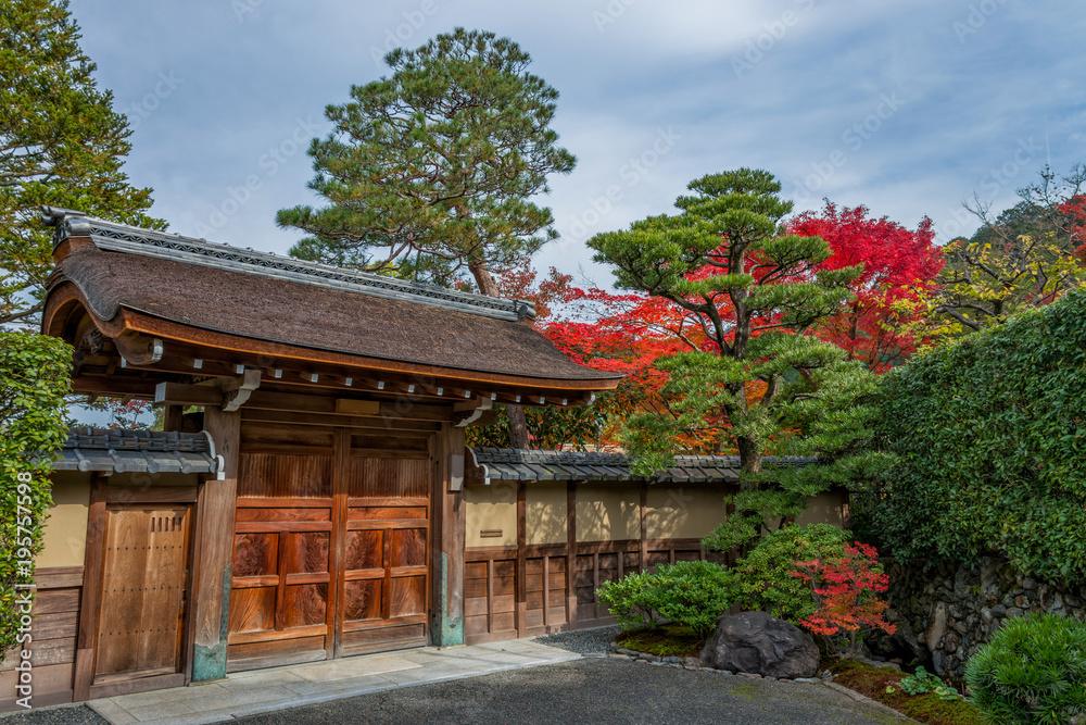 Traditional Japanese old house gate with beautiful trees in autumn season.