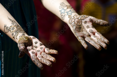 henna design  bride   Hindu wedding   Rajasthan  India