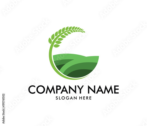 vector logo design for agriculture, agronomy, wheat farm, rural country farming field, natural harvest