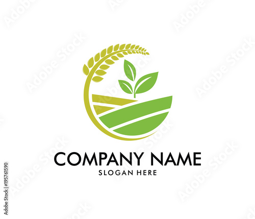vector logo design for agriculture, agronomy, wheat farm, rural country farming field, natural harvest