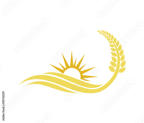 vector logo design for agriculture, agronomy, wheat farm, rural country farming field, natural harvest