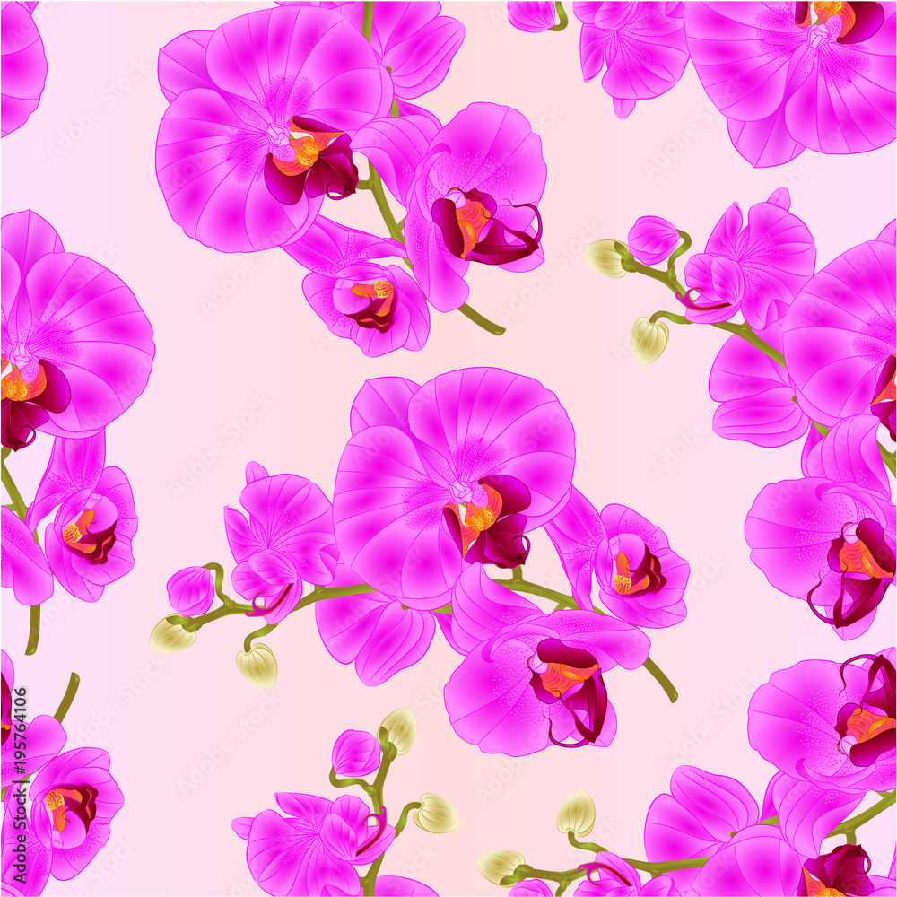Seamless texture branch orchids purple flowers tropical plant Phalaenopsis branch vintage vector botanical illustration for design editable hand draw Seamless texture branch orchids purple flowers tropical plant Phalaenopsis branch vintage vector botanical illustration for design editable hand draw