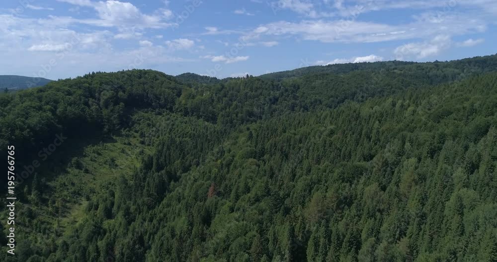 Aerial view of Carpathian mountains covered with fir forest Aerial view of Carpathian mountains covered with fir forest