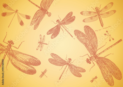  background with dragonfly beige 2 фон стрекоза