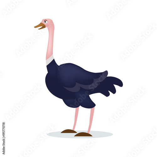 Simple vector ostrich for kids photo