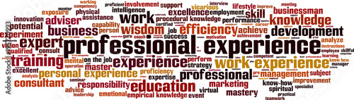 Professional experience word cloud