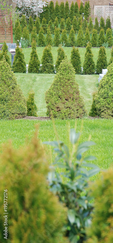 Fotografi jardins