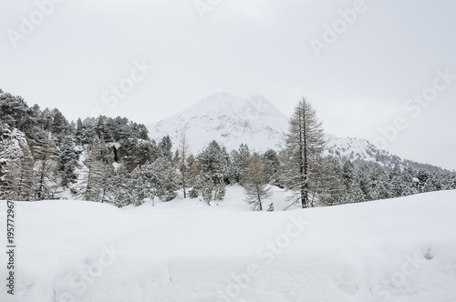 Maloja, Oberengadin, Engadin, Silsersee, Winterlandschaft, Winter, Wintersport, Langlauf, Winterwanderweg, Graubünden, Alpen, Schweiz © bill_17