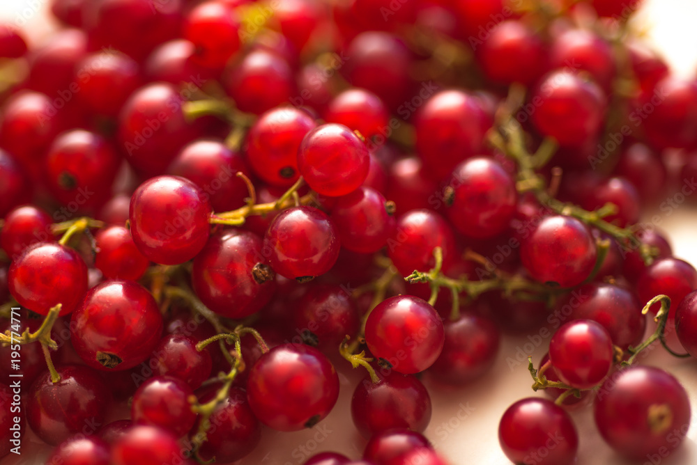Fresh Delicious Red currant berries, close up. Fresh Delicious Red currant berries, close up.
