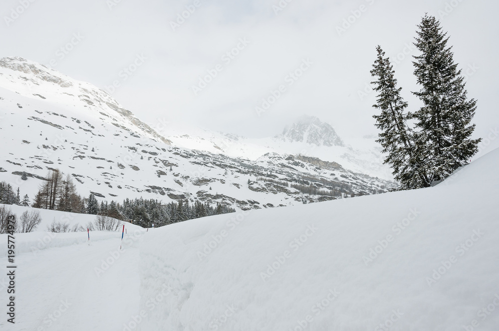 Maloja, Oberengadin, Engadin, Silsersee, Winterlandschaft, Winter, Wintersport, Langlauf, Winterwanderweg, Graubünden, Alpen, Schweiz