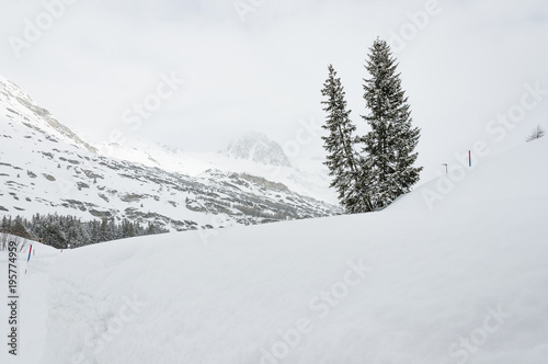 Maloja, Oberengadin, Engadin, Silsersee, Winterlandschaft, Winter, Wintersport, Langlauf, Winterwanderweg, Graubünden, Alpen, Schweiz © bill_17