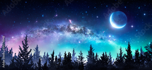 Milky Way And Moon In Night Forest