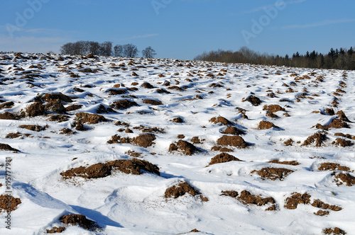schneebedecktes Feld in Hügellandschaft