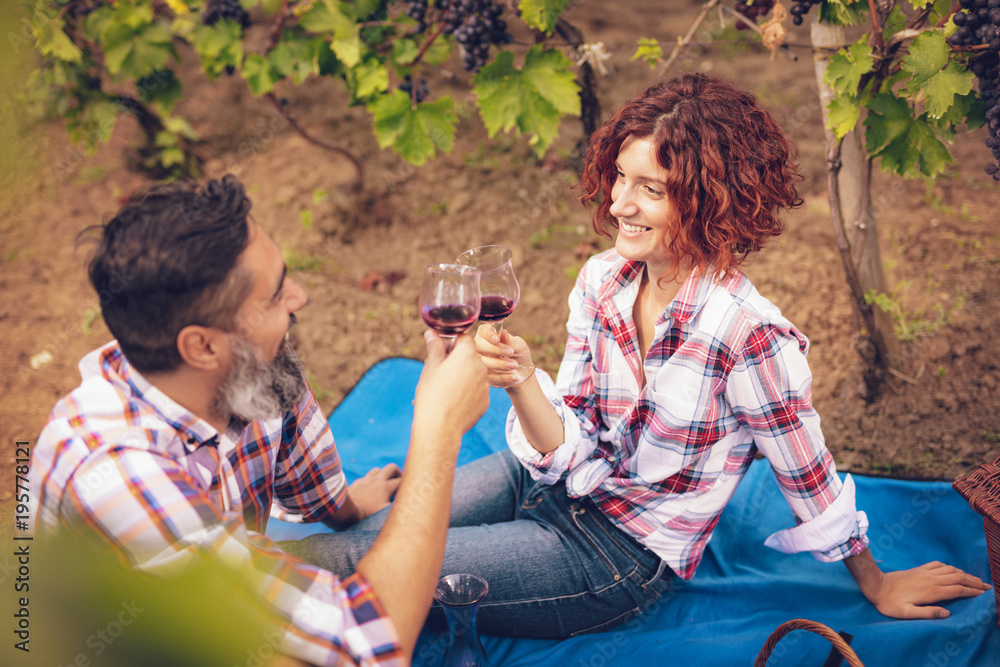 Fototapeta premium Picnic At Vineyard