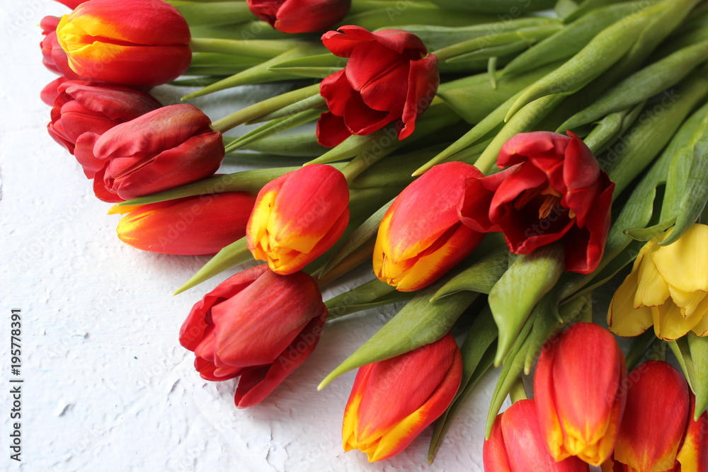 Spring flowers tulips on a stone textured table. March 8, international women`s day, mother`s day or birthday. Empty space for your text, top view,card. Spring flowers tulips on a stone textured table. March 8, international women`s day, mother`s day or birthday. Empty space for your text, top view,card.