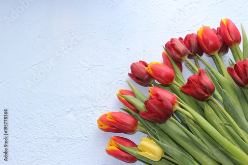 Spring flowers tulips on a stone textured table. March 8, international women`s day, mother`s day or birthday. Empty space for your text, top view,card.