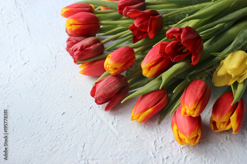 Spring flowers tulips on a stone textured table. March 8, international women`s day, mother`s day or birthday. Empty space for your text, top view,card.