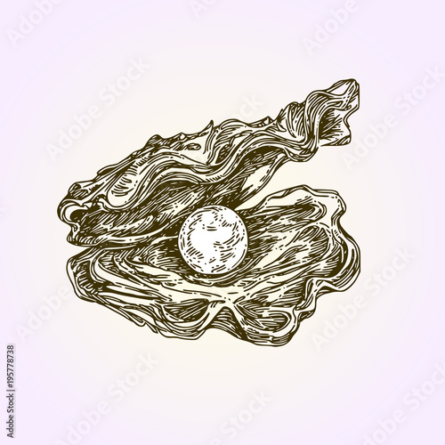 Shell with large pearl. Engraving style. Vector illustration.