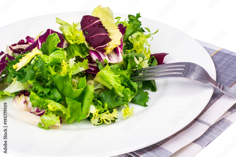 Vegan salad of fresh colored leaves Vegan salad of fresh colored leaves