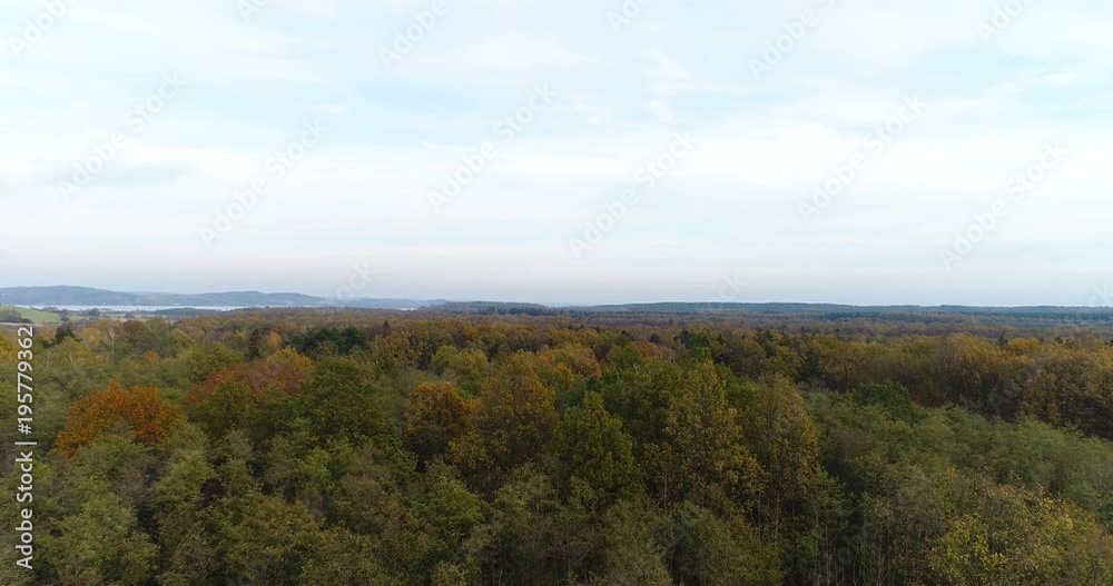 Flying Over Forest. Forest from Above Flying Over Forest. Forest from Above