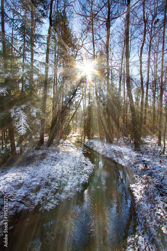 A small stream flowing through the snow-covered forest photographed under the sun