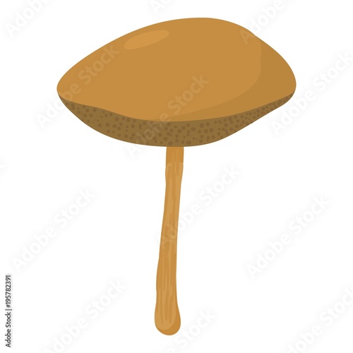 Yellow boletus mushroom icon, cartoon style