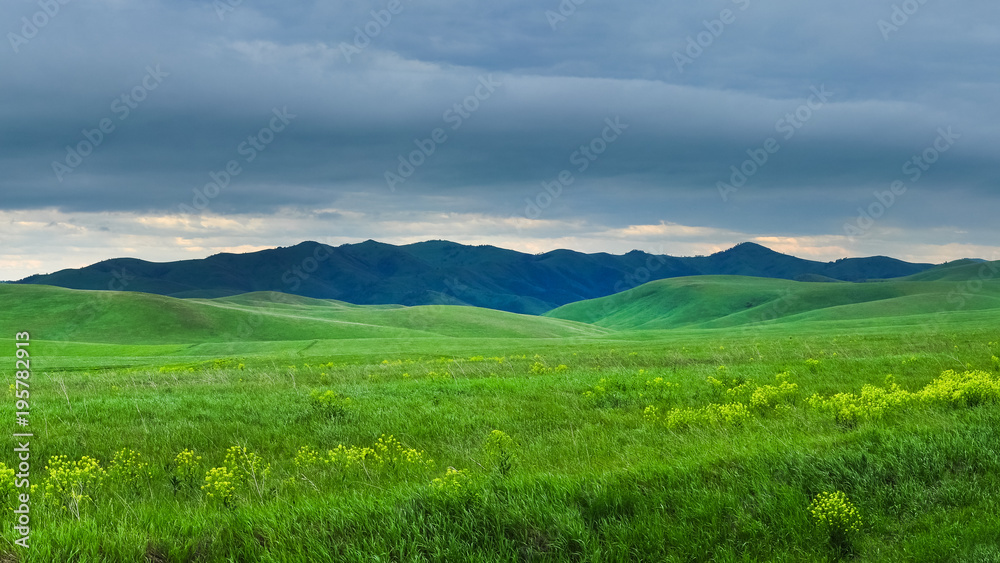Green meadows on backround of mountains. Altai, Russia