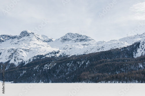 Silvaplana, Surlej, Silvaplanersee, Langlauf, Langlaufloipen, Corvatsch, Piz Corvatsch, Winter, Wintersport, Winterwanderung, Alpen, Oberengadin, Sils, Silsersee, Graubünden, Schweiz