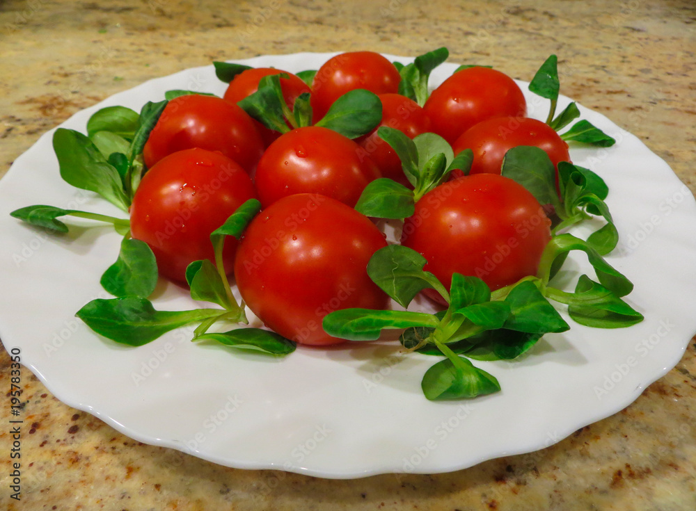 Lovely fresh small red tomatoes on a branch in the green. Lovely fresh small red tomatoes on a branch in the green.